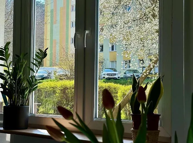 Uroczy - Apartament *